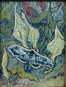 Vincent Van Gogh Butterflies oil painting on canvas